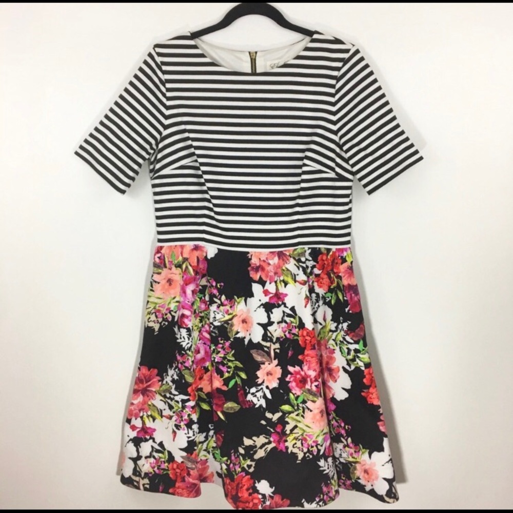 Eliza J Floral Stripe Fit + Flare Dress